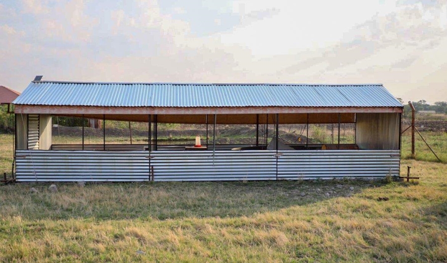 6 Bedroom Property for Sale in Koppies Rural Free State